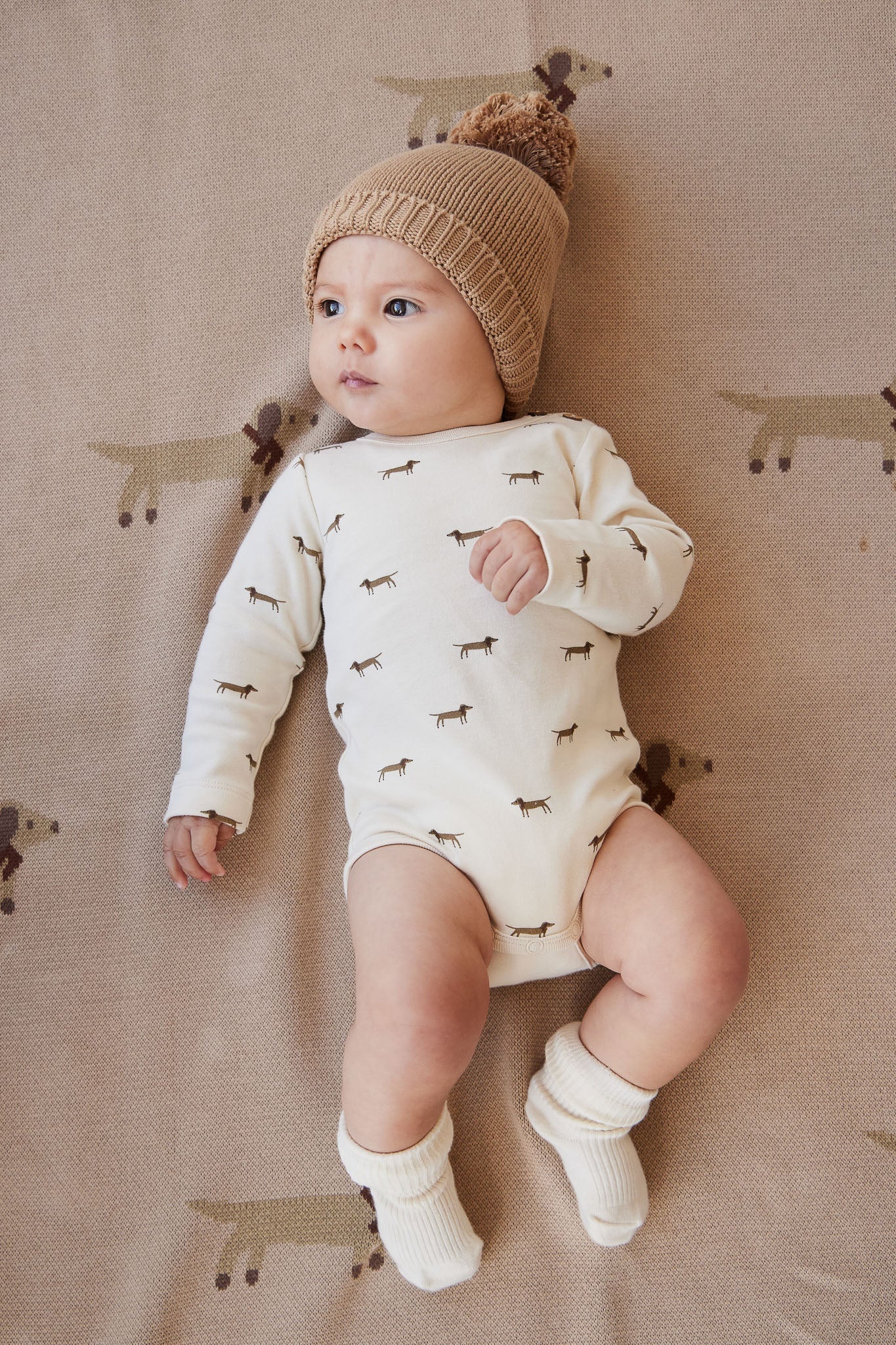 Classic Rib Sock - Cloud - Image 3