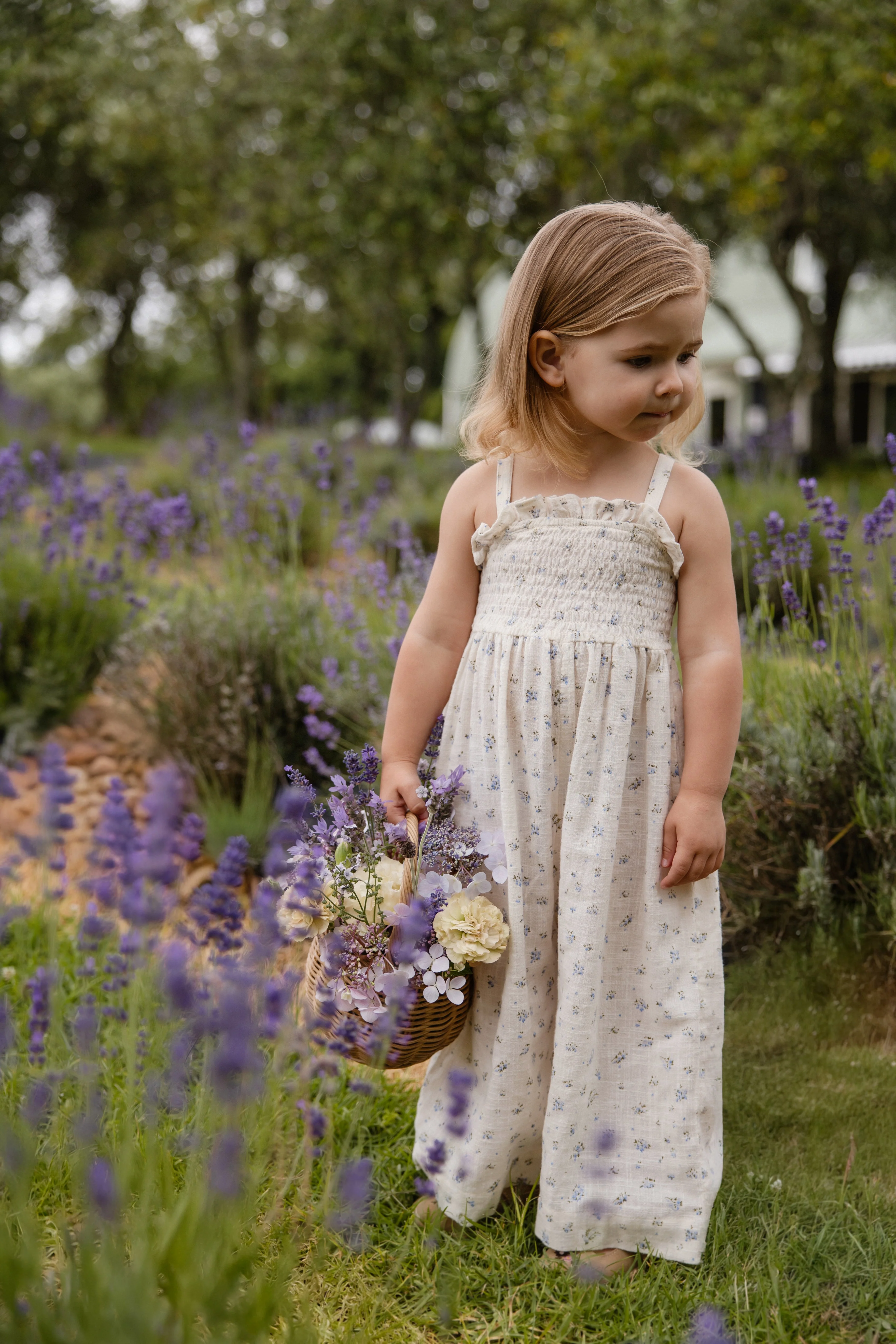 Organic Cotton Arabella Jumpsuit - Juniper Fields Blue - Image 3