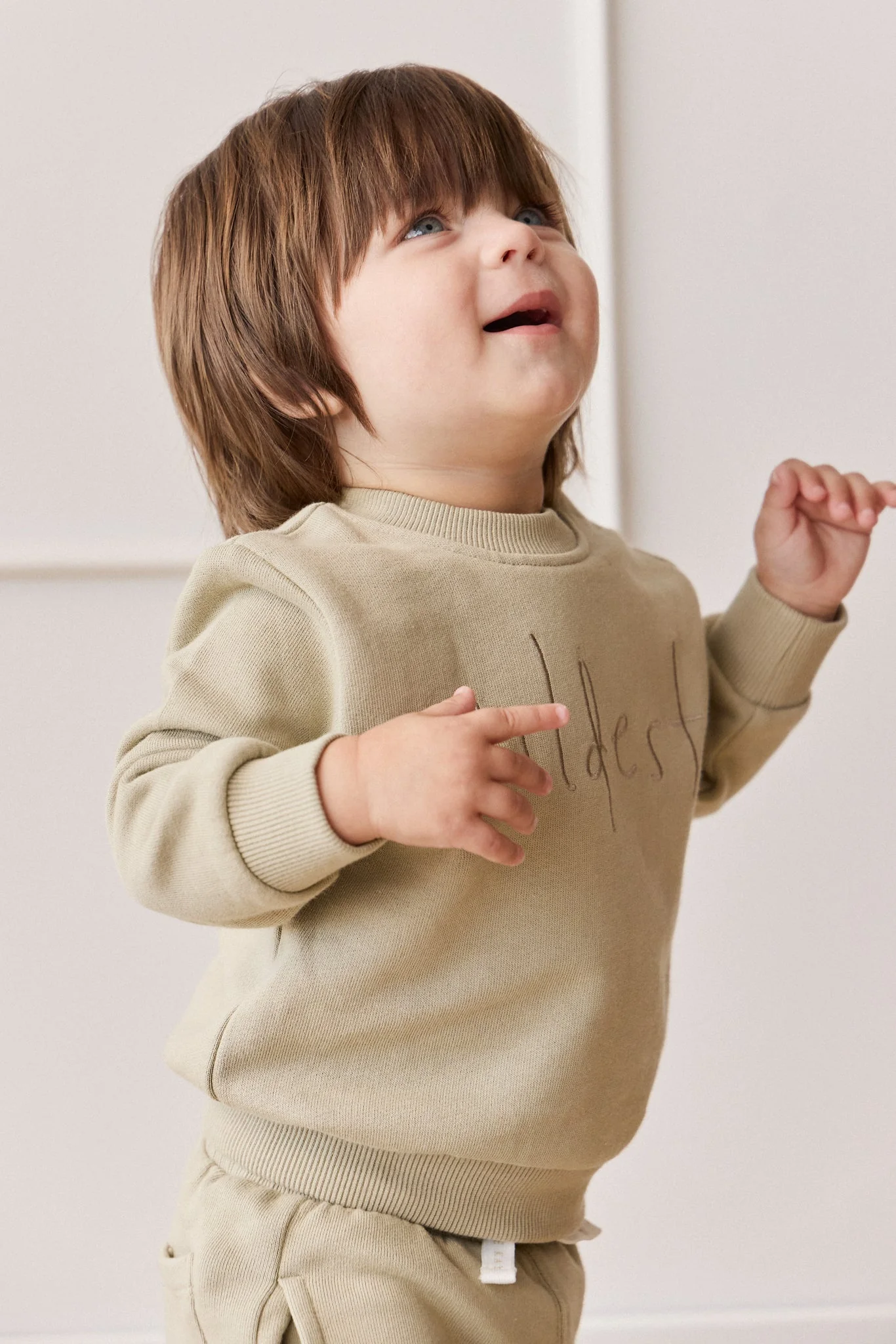 Organic Cotton Dominic Sweatshirt - Pampas Wildest - Image 4