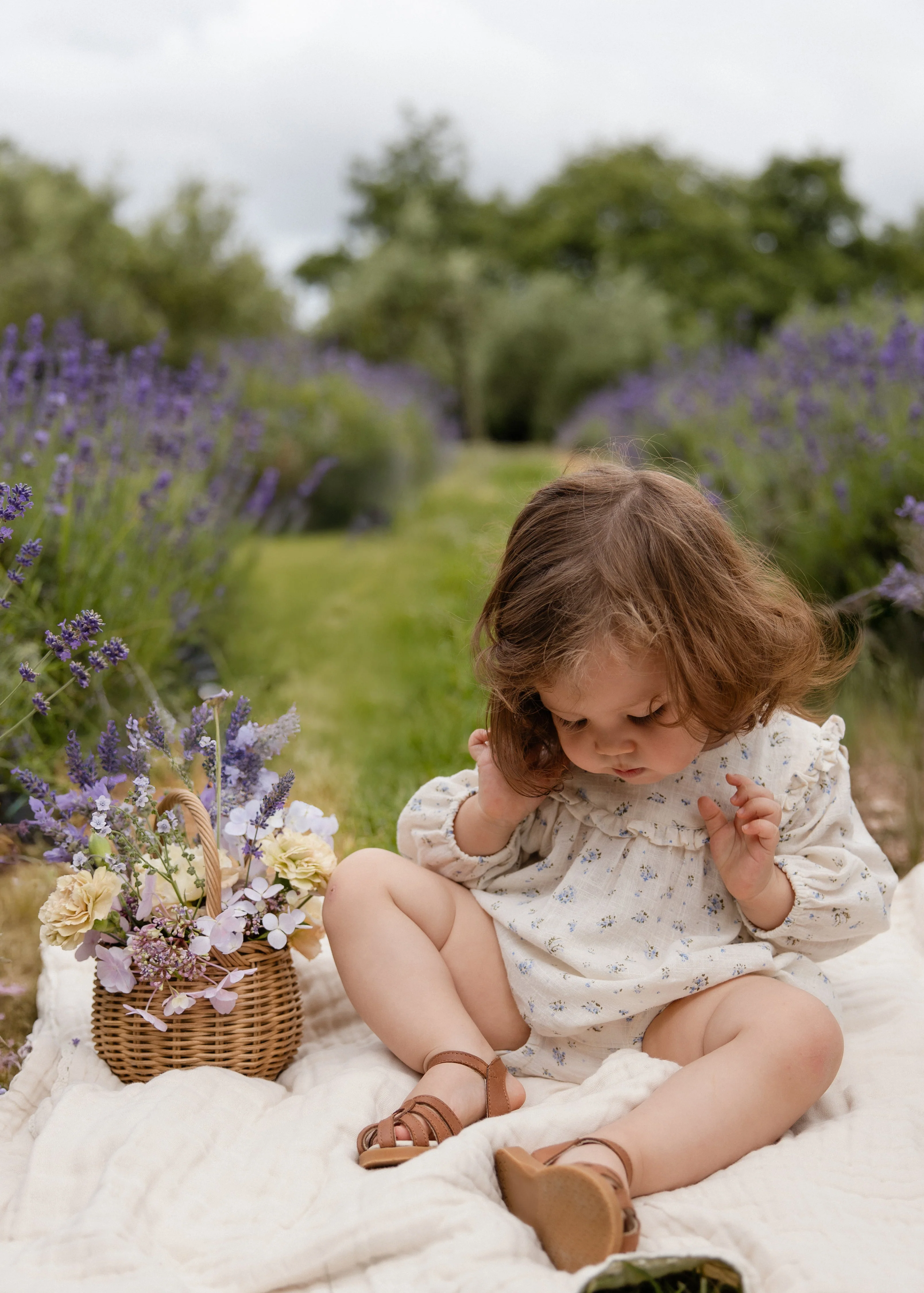 Organic Cotton Frill Bloomer - Juniper Fields Blue - Image 5