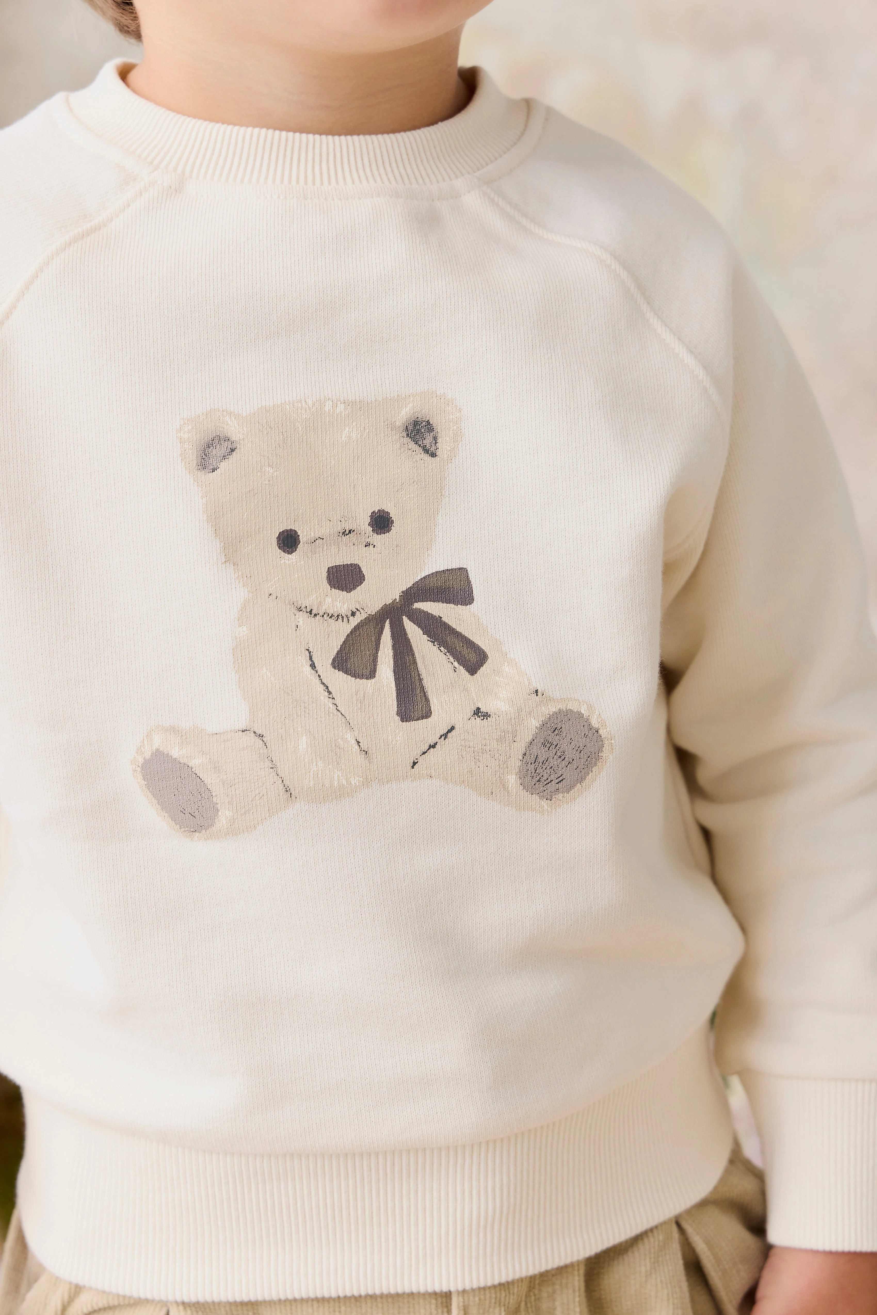 Organic Cotton Hayes Sweatshirt - Theo Teddy Cloud - Image 3