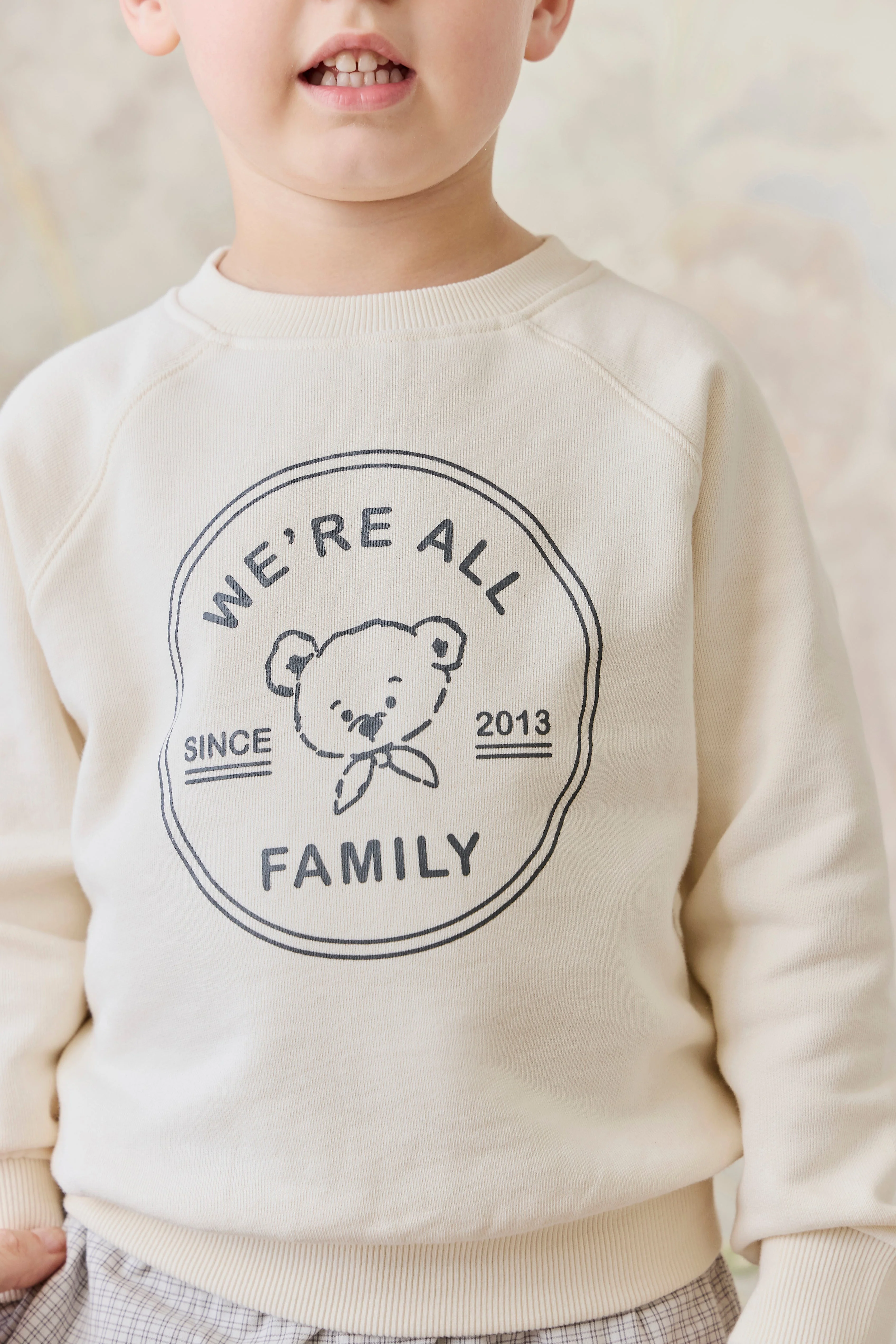 Organic Cotton Hayes Sweatshirt - We're All Family Cloud - Image 5