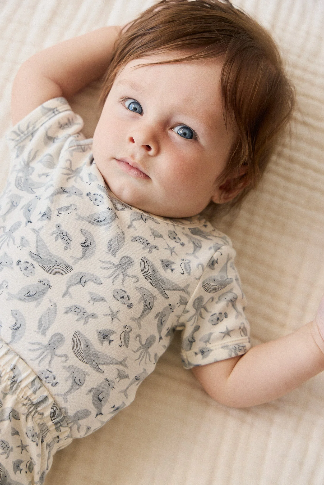 Organic Cotton Hudson Short Sleeve Bodysuit - Sea Life - Image 3
