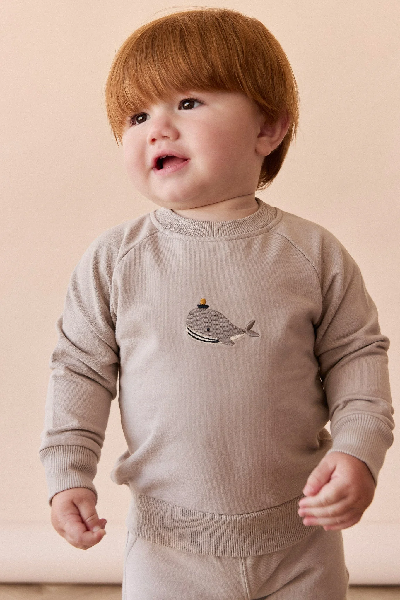 Organic Cotton Jermaine Sweatshirt - Hazy Taupe Whale - Image 2