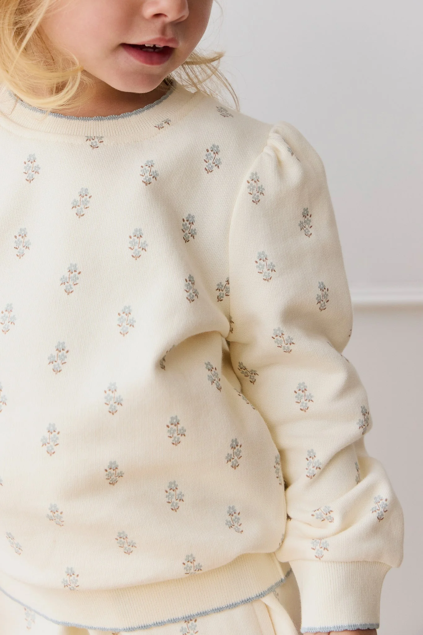 Organic Cotton Monroe Sweatshirt - Rachelle Blue Fox - Image 3