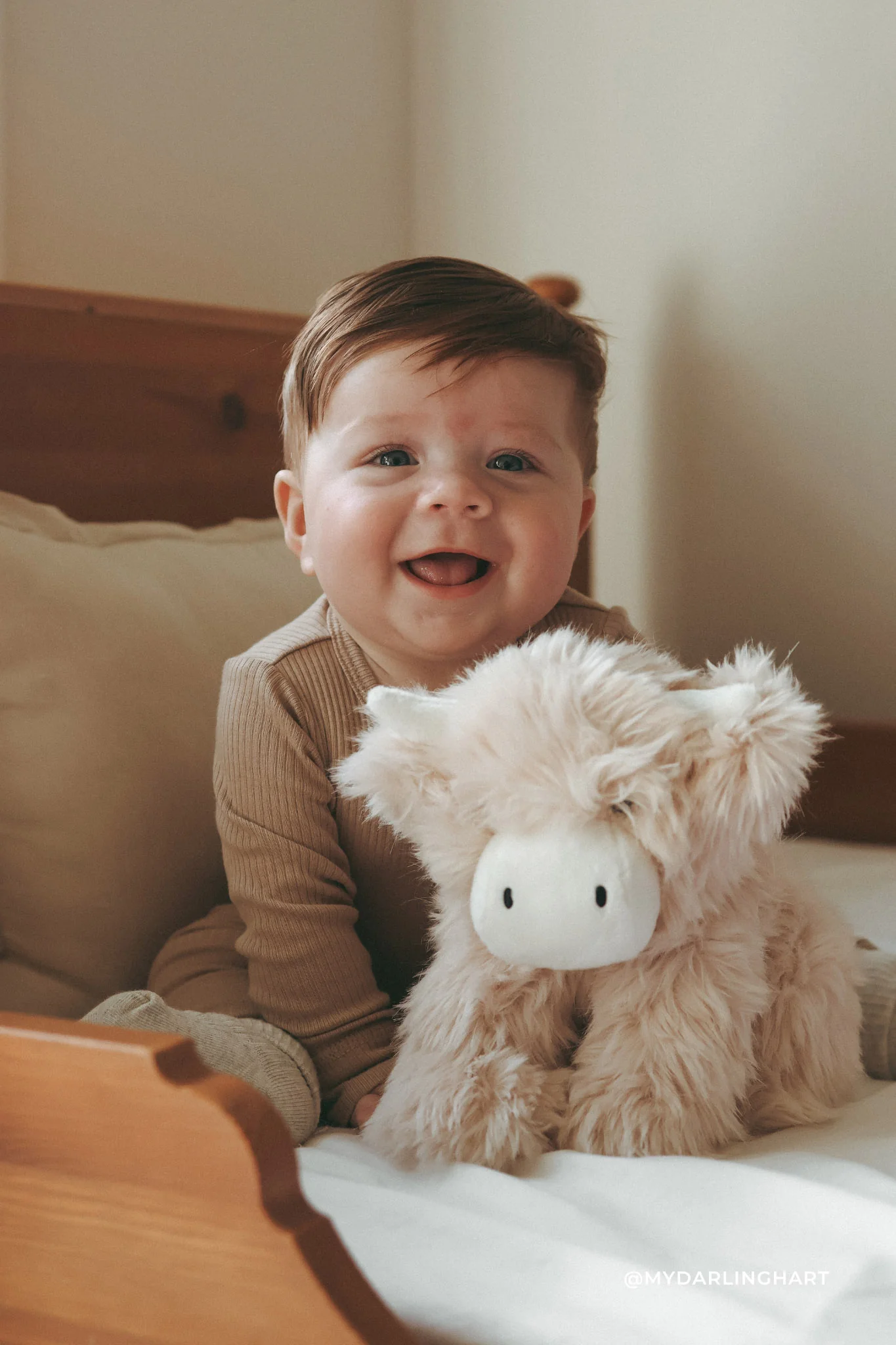 Snuggle Bunnies - Hilda The Highland Cow - Image 6